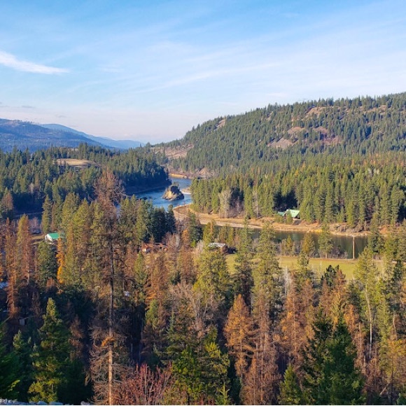 Meet The Posher🍃 - Picture 4 of 7